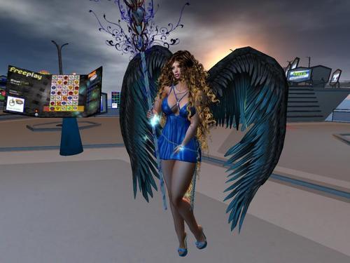 Web 5e630a79289dd22bd41fef2a