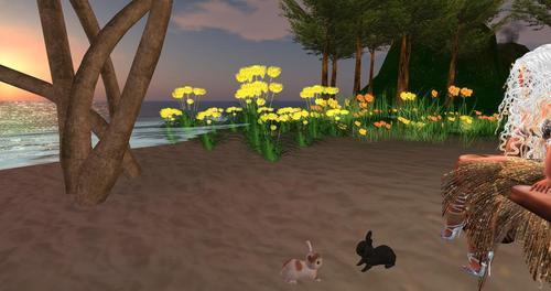 Web 60a9e2039ca8da3c50060d46