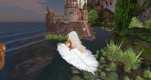 Web 60a9f90a0a17d5665e03105c