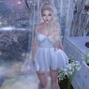 Thumb 5df7aabbd774f8676d97a9e2