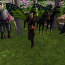 Thumb 5b3dc941d9859c72a5000001