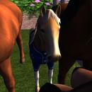 Thumb 5b3dc9bfd774f816a9000001