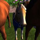 Thumb 5b3dc9d373ed171895000001