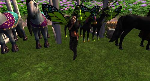 Web 5b3dc941d9859c72a5000001