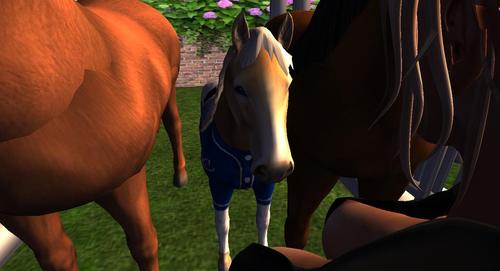 Web 5b3dc9bfd774f816a9000001