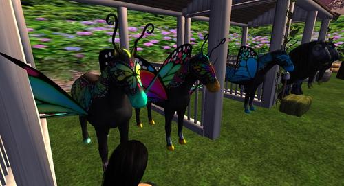 Web 5b4d4a60d9859c017b000001