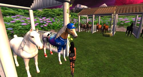 Web 5b4d4d26289dd232be000001