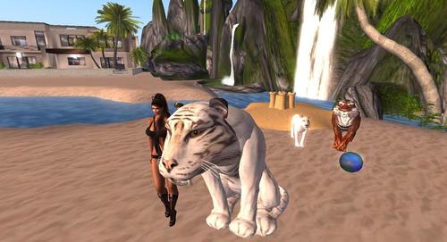 Web 5b7ff29fd9859c648d000001