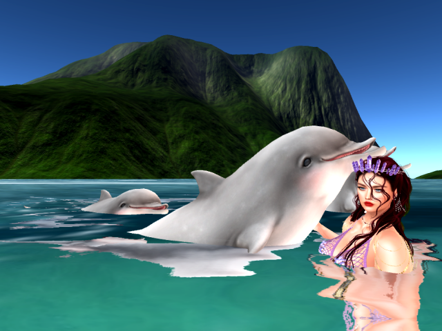 Original 64e4f1a7a4b4417499d948d2