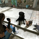 Thumb 662d59d1f73d1064bd875b01