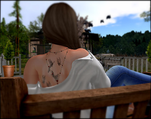 Web 64dff64568ef982e1f7e79ee