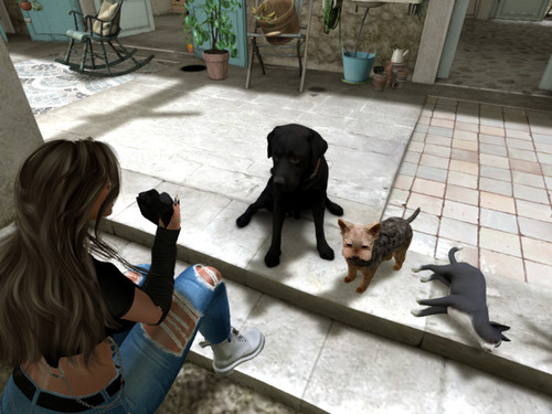 Web 662d59d1f73d1064bd875b01