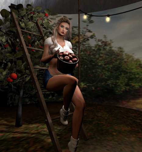 Web 66c770b90ea2370587df7857