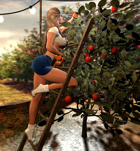 Web 66c7742116e892362697a87c