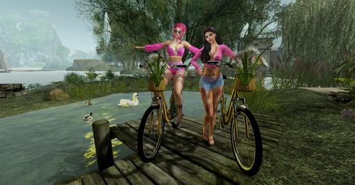 Web 5c827d9e73ed17485d000001