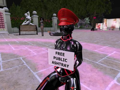 Web 5cd3a700289dd22acb000001