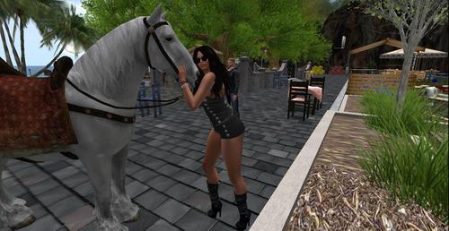 Web 5a5a70a373ed172ed9000001