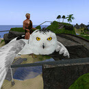 Thumb 67292d388205394d3147e3e8