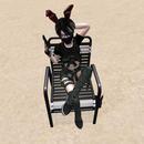 Thumb 613ba95166951e1f39dd45a5