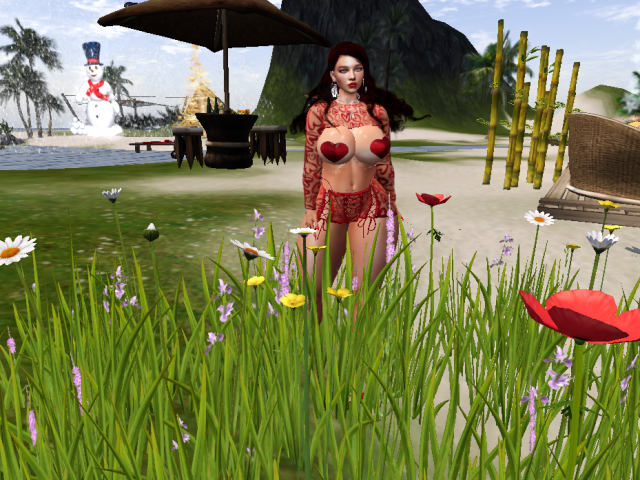 Original 6764bee91b25f07a79d0c0a5