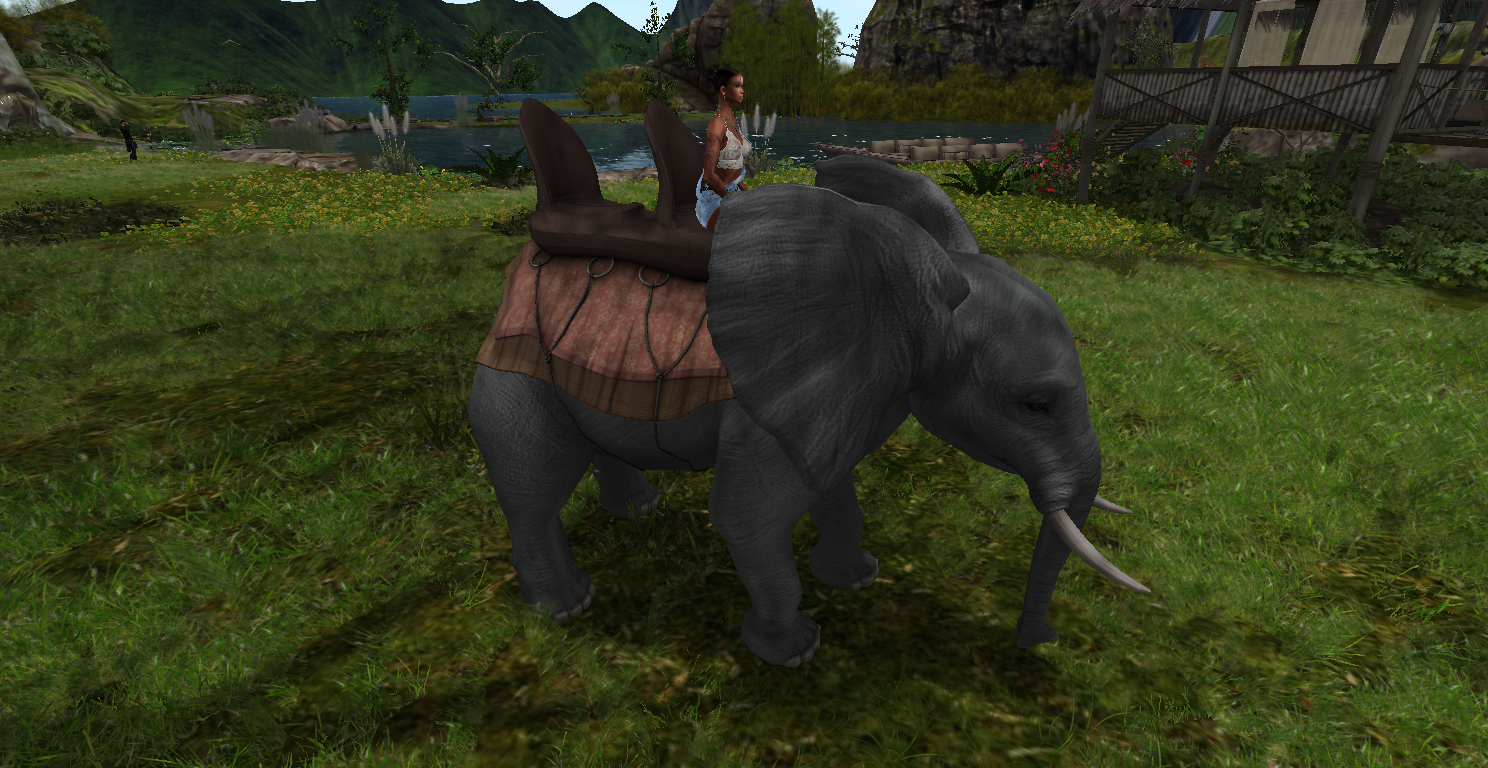 Original 6235ed0ce8a5f17988c1669f