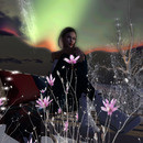 Thumb 639b51f832df2919a169c751