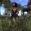 Thumb 64205cd664d62742d9d36b65