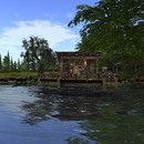 Thumb 64626d443d8d3c50fadca015