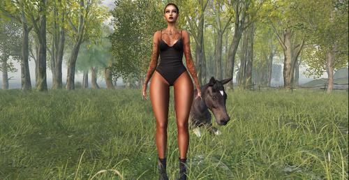 Web 622b533bdf1cd508a22fa9d0