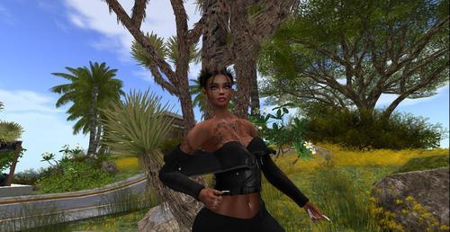 Web 622cb0036ee2e9574bdadf0f