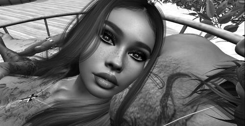 Web 622e29b262d7451141c8e7a2