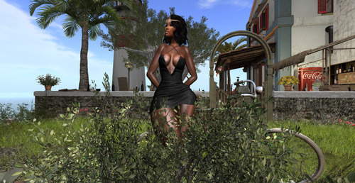 Web 64205cd664d62742d9d36b65