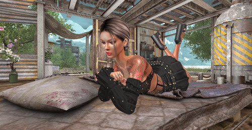 Web 642838182b47cb20a180c7c6