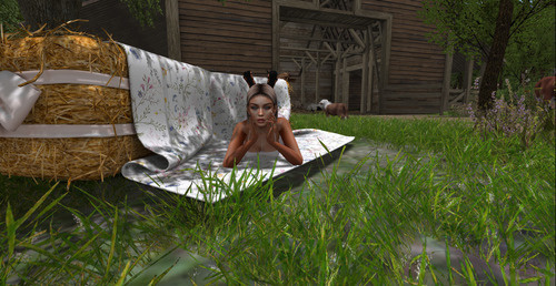 Web 6476ca0464d6273929d36b65