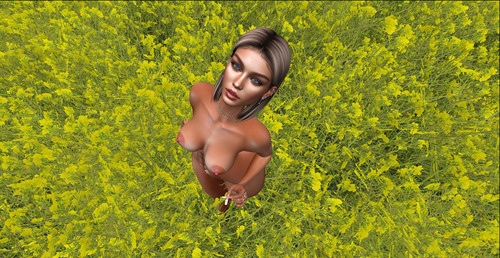 Web 6476cbc1a69bad1d24902c1d