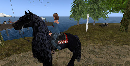 Web 645cdc3faf188e6aebd5513f