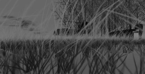 Web 5d1fa1f9289dd226aa000001