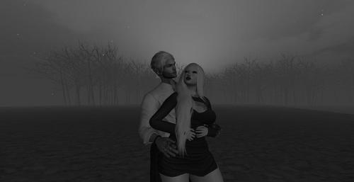 Web 5d65715c289dd2412d000001