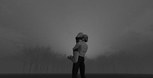 Web 5d6572b7d774f846bc000001