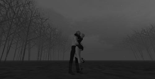 Web 5d6573b1d774f84cd2000001