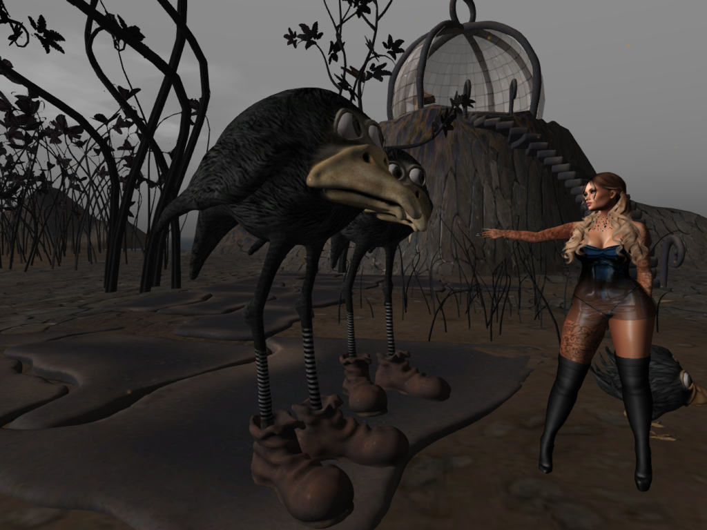 Original 646fb617ef94cc7a6fcb81b8