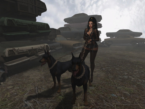 Web 64af0b007fb1aa6746a1a930