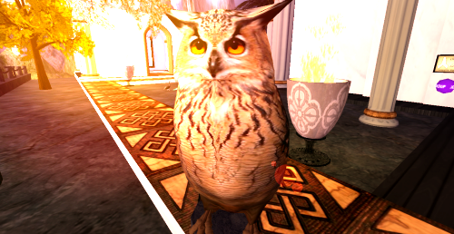 Original 5abe8f1cd9859c7863000001