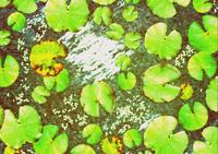 Small 5af24b3ed9859c4807000001