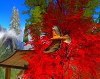 Small 5b5d4897289dd22b4f000001