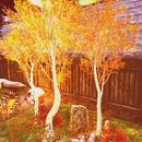 Thumb 5b514ee0d9859c25ba000001