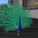 Thumb 5b7f59a4d774f81a3d000001