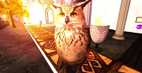 Web 5abe8f1cd9859c7863000001