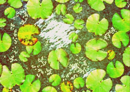 Web 5af24b3ed9859c4807000001