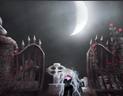 Web 5b0b0dd073ed175556000001